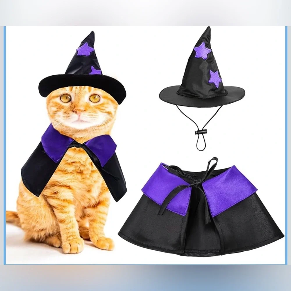 Cat Wizard or Witch Costume
